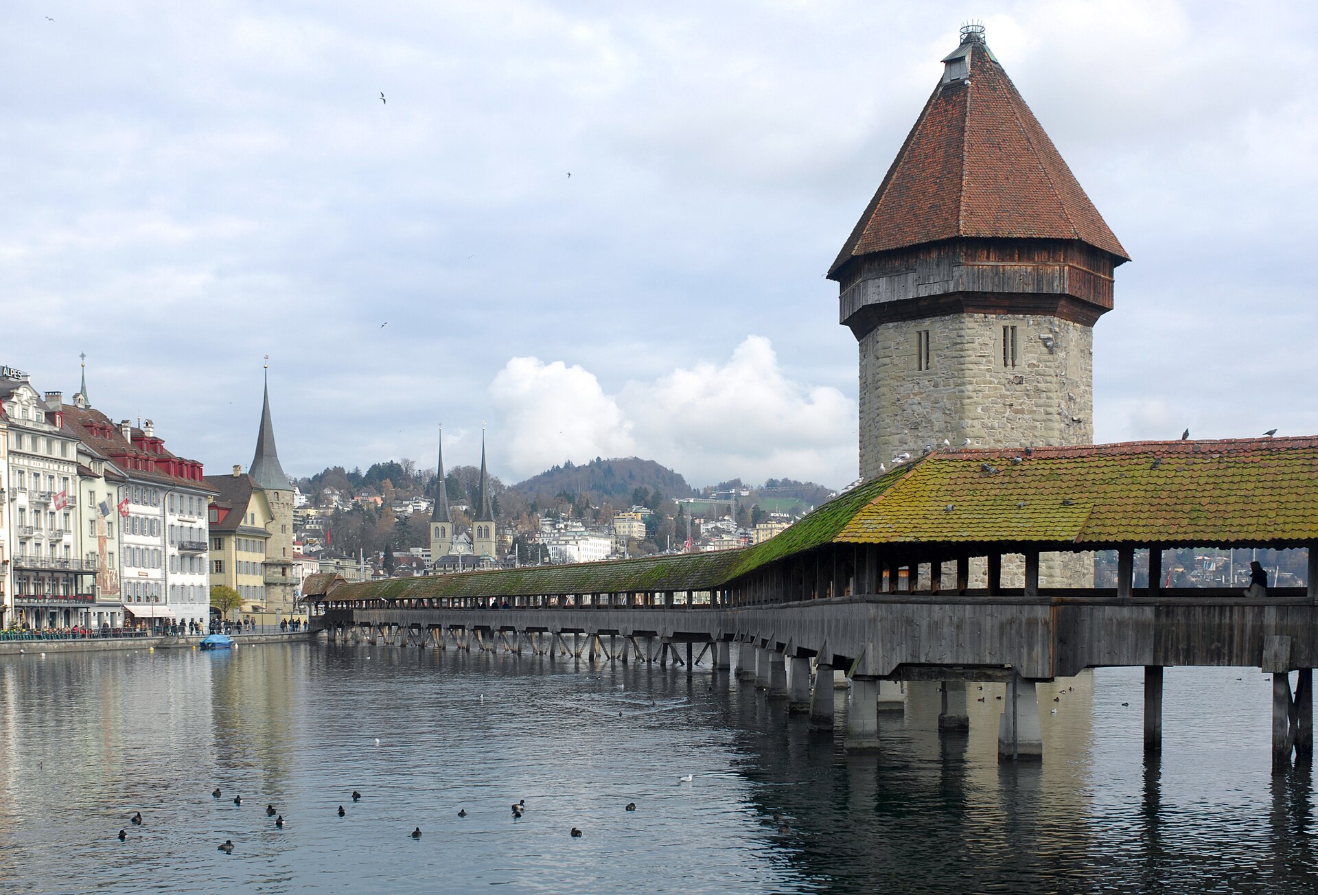 Lucerna